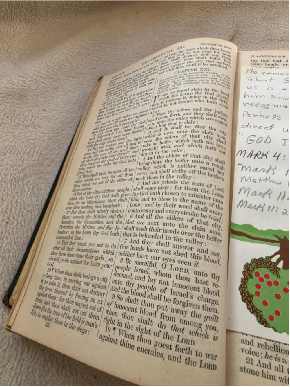 Unbranded book details